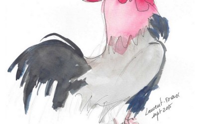 Coq encre MLD 15