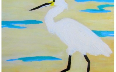 IE Aigrette garzette MLD_13