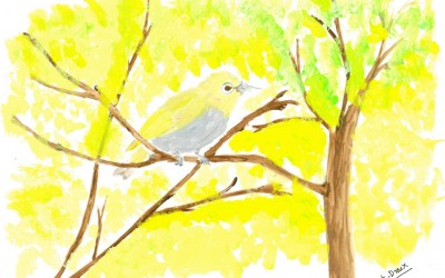 Oiseau_vert-Europa